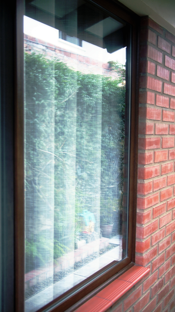 Die Reflexion einer begrünten Wand an einem Hausfenster.